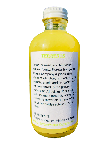 Terrenus
